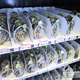 Image for article titled One more way China is out-innovating the US: with a vending machine full of live crabs